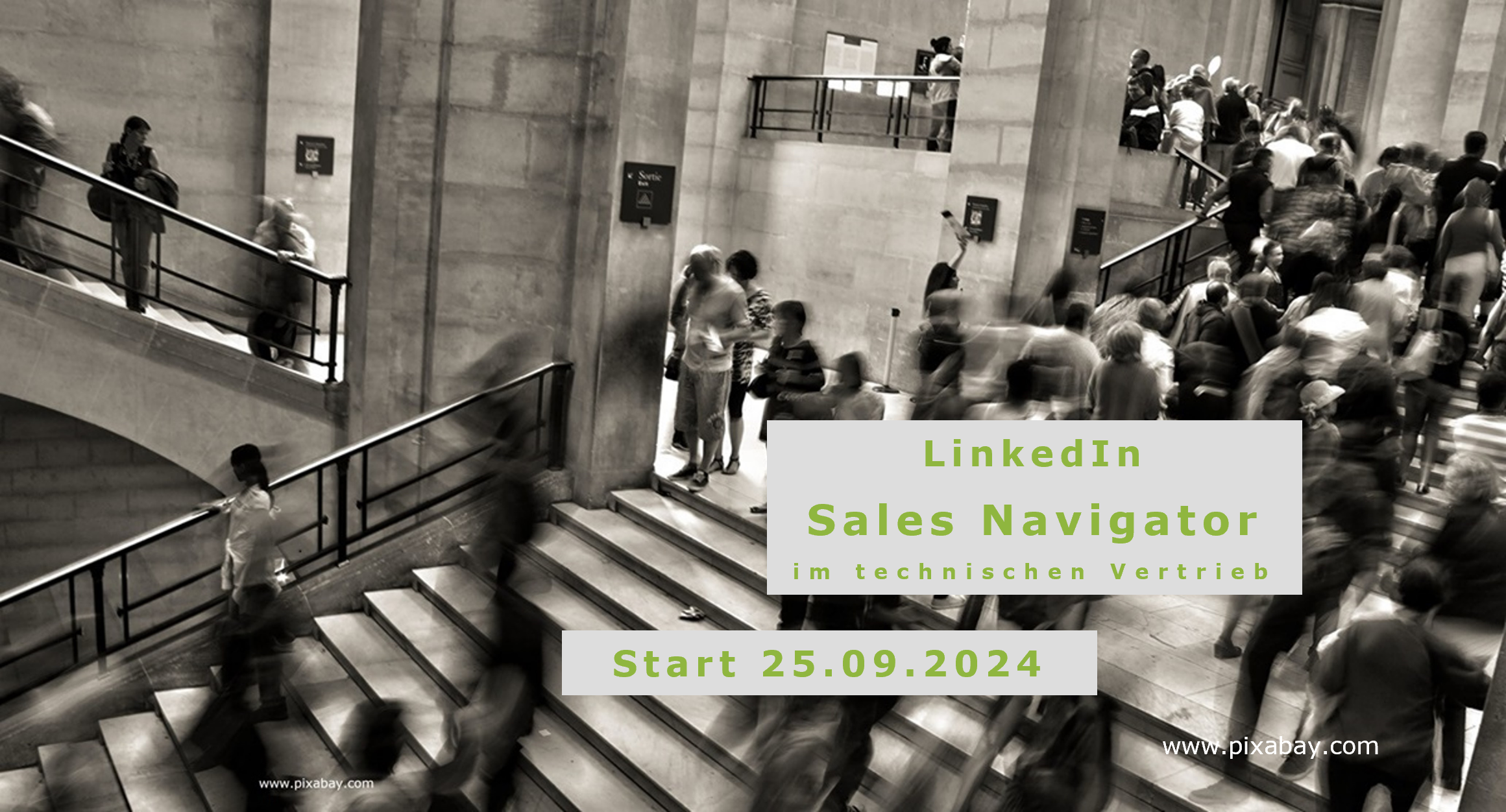 Bild zum Modul LinkedIn Sales Navigator in der Akademie von Jutta Haupt und Partner